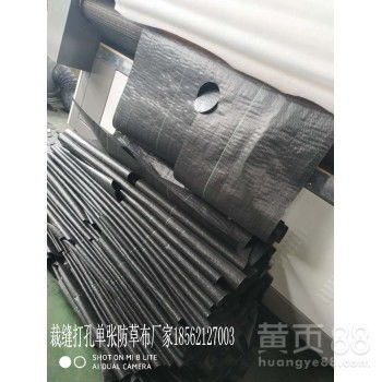 南岸區經緯編茶園防草布 優質生產與銷售指南